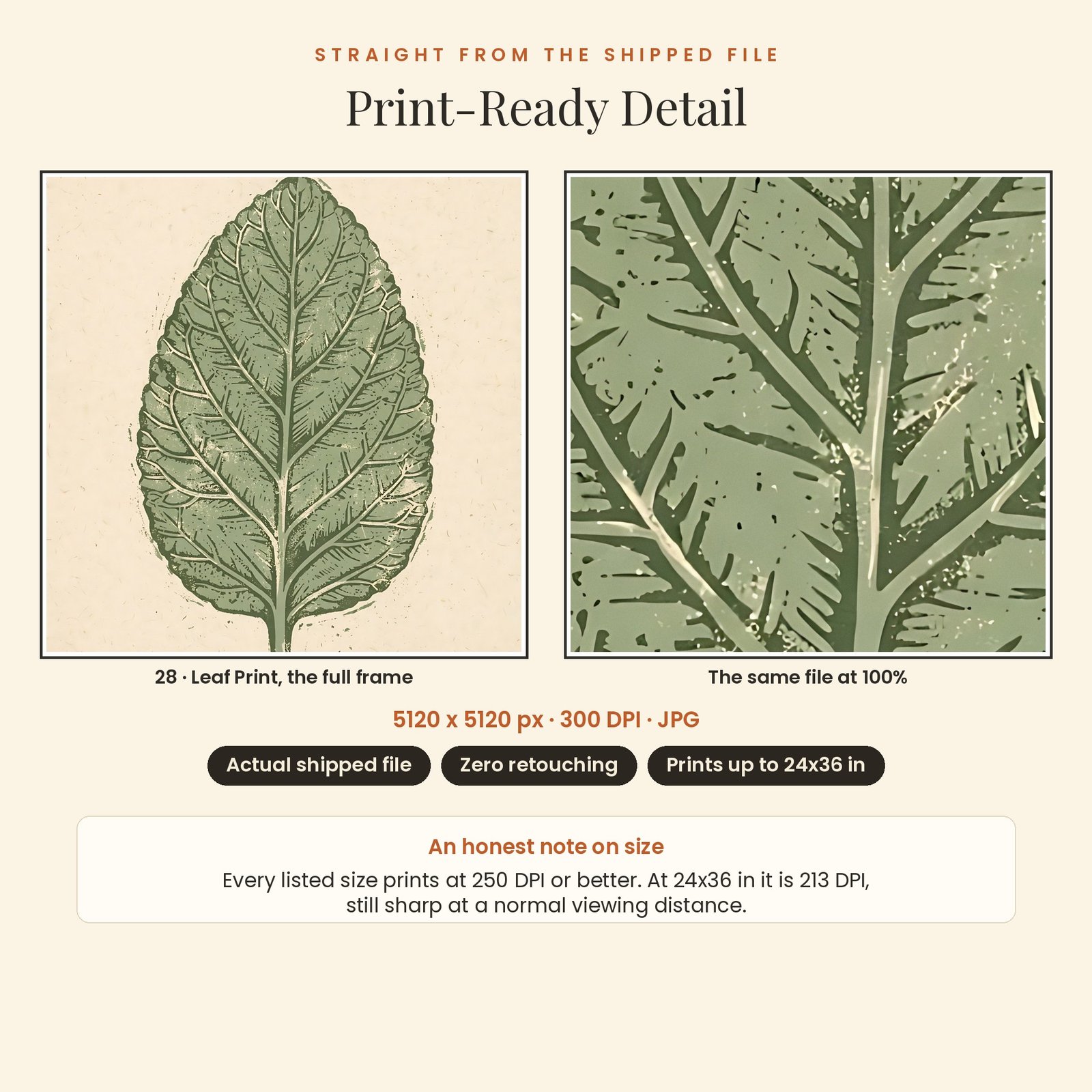 Warm Minimal Gallery Wall Set | 30 Printable Prints, 7 Ratios, 300 DPI, screenshot 9